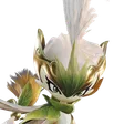 Espilâmina, Forma de Torrilenha