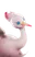 Fahluu
