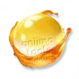 Cristal Orvalhado de Bulbim