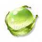Cristal Orvalhado de Brotescudeiro