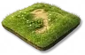 Bosque (Nível 1)