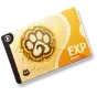 Pacote de Presente de Captura de Atividade
