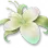 Flor de Crescimento