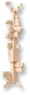 Parede de Canto de Pedras Rústicas