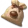 Semente de Castanheira