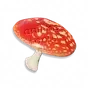 Capelo Vermelho