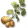 Batata