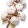 Algodão