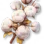 Algodão