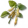 Soja
