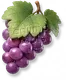 Uva