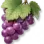 Uva