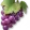 Uva