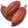 Cacau