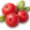 Oxicoco