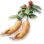Ginseng