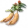 Ginseng