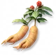 Ginseng