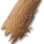 Casca de Palmeira