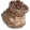 Argila