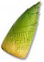 Brotos de Bambu