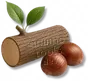 Madeira de Castanheira