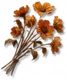 Flores Secas