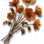 Flores Secas