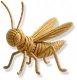 Brinquedo de Tecido