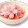 Flor de Cerejeira Salgada