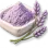 Pó de Alfazema