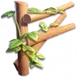 Cerca de Ripas: I