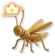 Brinquedo de Tecido Especial
