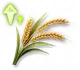 Fórmula Rápida: Trigo