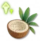 Fórmula Rápida: Coco