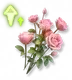 Fórmula Rápida: Rosa