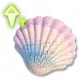 Fórmula Rápida: Concha