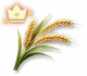 Trigo Especial