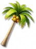 Coqueiro