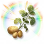 Batata Colorida