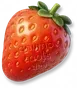 Morango Gigante