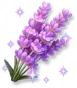 Alfazema Brilhante Gigante