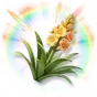 Agave Colorida