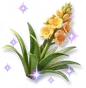 Agave Brilhante