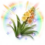 Agave Brilhante Colorida