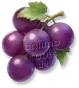 Uva Gigante