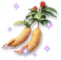 Ginseng Brilhante