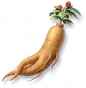Ginseng Gigante