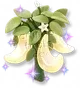 Pimenta da Lua Crescente Brilhante