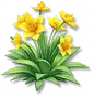 Lírio